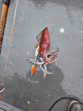 Winged Squid Jig Orange 15 OZ